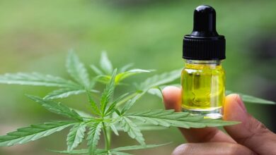 An In Depth Look at the Health Benefits of CBD Oil